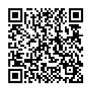 人不可能在经历了那么多事之后还保留着原本的心境二维码生成