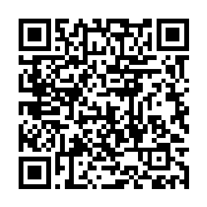 人人盼望着青帝能带领人族赢得一场又一场的胜利二维码生成