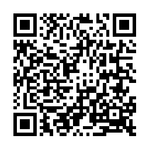 人人都知道要爬上从二品的官位需要付出多少代价二维码生成