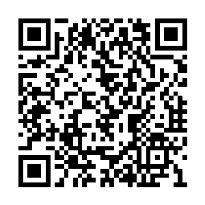 人们一个个都披着衣服掂着棍叉之类的跑了出来二维码生成