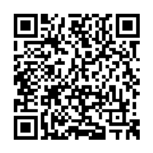 人们终于知道前面的数批人为何要如此井井有条二维码生成