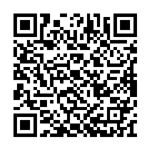 人参果才被人们称之为不朽强者最为渴望的圣果二维码生成