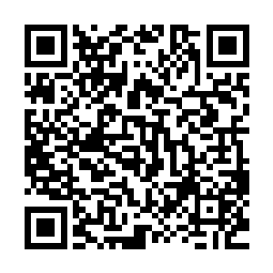 人头大小的饼子在很短的时间里已经被那个小女孩吃掉了一半二维码生成