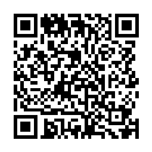 人家也只是想找一个靠谱一点的人帮他们看一下房子而已二维码生成