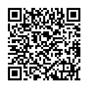 人家免费多开一次刀将坏掉的肾摘了就仁至义尽二维码生成