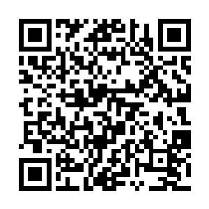 人家有钱人捏死他们就如同捏死一只蚂蚁一样的简单二维码生成