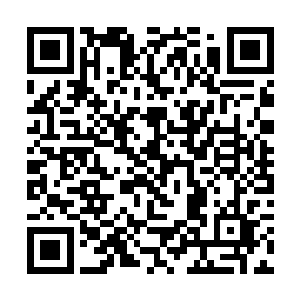 人家楸本不是按照美国境内的走红标准来播放节目的二维码生成