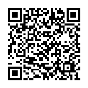 人家苏文无非是到你戏剧的评论区发点广告而已二维码生成