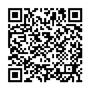 人家高兴了随便打赏打赏就比你拼死拼活强多了二维码生成