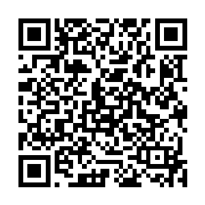 人尊后期巅峰的实力对上地尊初期的落阳根本就不是对手二维码生成