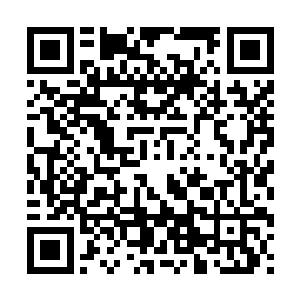 人就能够在精神价值方面掌握自己的命运从而赋予生命以意义二维码生成