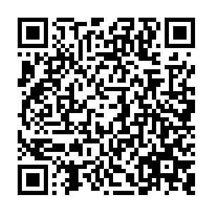 人形的radam怪兽――洁・伊万诺维奇・别利亚科饶有兴趣的看着他在树枝上挣命二维码生成