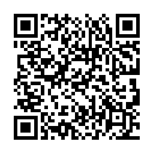 人族在他们百族领域就是排在中游偏下的一个种族二维码生成