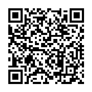 人族就能够修炼到神魔修炼无数万年才能有的实力二维码生成