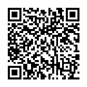 人族总府司那边忽然又抛出来一个让人震撼的消息二维码生成