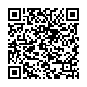 人族战士就感觉那个黑袍骑士抬起眼睛来看了自己一眼二维码生成