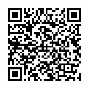 人族留在西方的修士最高的修为也不过的人尊初期巅峰二维码生成