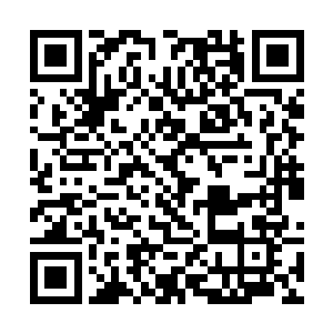 人族的武者只需在每一处乾坤大阵中留下自己的烙印二维码生成