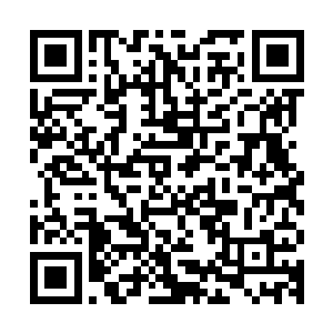人族那边有没有说许紫烟如今的修为和她在排名赛中取得的名次二维码生成