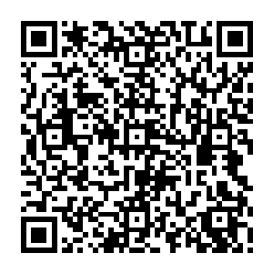 人物卡和战斗记录核查的我欲仙欲死……大家可以看看核查一下……求一下月票啊二维码生成