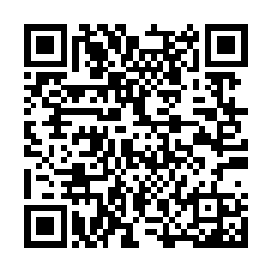 人生赢家都在潇湘书院微信号xxsynovel微信添加朋友二维码生成