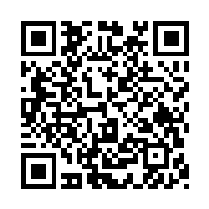 人界的修士大规模地进入归墟是不被允许的二维码生成