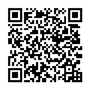 人类也野兽战斗了这么多年大家对野兽向来都是三种模式二维码生成