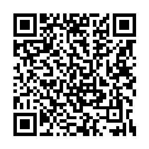 人类历史上的大规模丛林战比城市作战要少很多二维码生成