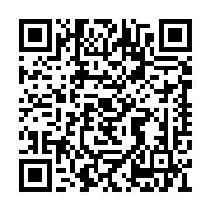 人类对伏羲这样的人工智能一定会大大提升敌意二维码生成