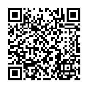 人类有个坏习惯……那就是喜欢在战斗中藏个几手二维码生成