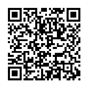人类根本无法承受一次接着一次如此可怕的天灾二维码生成