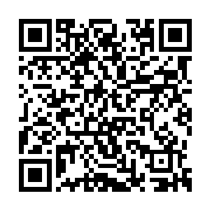 人类的碎骨将蒸汽锅炉戳刺成了千疮百孔的蜂巢二维码生成