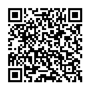 人群当中一双明亮的眼睛也是好奇地盯向了林烽二维码生成