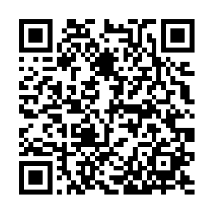 什么不谈就是没有亲情友情这话真是太幼稚太可笑了二维码生成