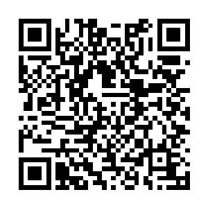 什么乱七八糟的东西都买了往储物戒和储物镯里塞二维码生成