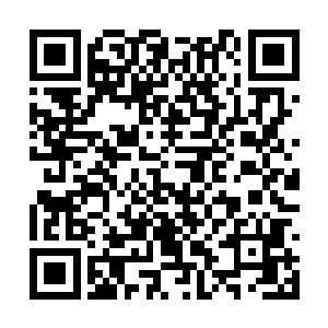 什么官宦世家最看重名声这话都是冠冕堂皇的借口二维码生成