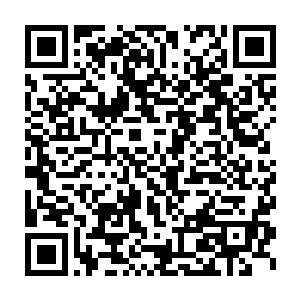 什么时候……自己这个公子大人居然变成这两个丫头嘲笑的对象了二维码生成