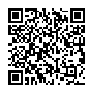 什么时候子轩把这个仙医身上所有的医术都学到手二维码生成