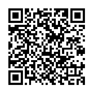 什么时候真的得让胖子他们来看看自己在毛里克斯拉尼的威风二维码生成