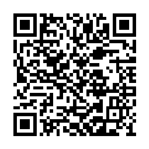 什么时候见过华夏国中号称第一神兵的龙牙成员二维码生成