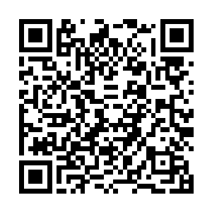 什么样的经历才能让眼前这位小师弟拥有一颗赤子之心二维码生成