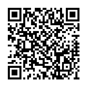 什么样的蜘蛛网竟然能够承受一个大活人的体重二维码生成