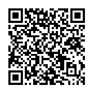 什么没出息的东西什么你这一辈子也就只能玩玩奥巴马之类的二维码生成