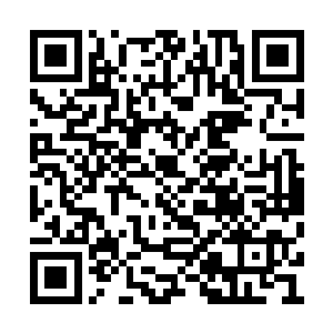 什么没有读书不识字这些都拿出来替自己辩解的二维码生成