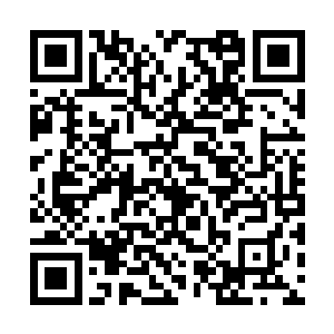 什么深海鱼大龙虾新鲜的鱿鱼之类的觉得挺高档的二维码生成