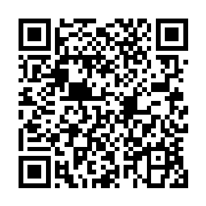 仅仅只是一个眼神或者一丝气息便能将对方直接抹杀于世间二维码生成