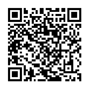 仅仅只是一个重伤状态下的蛊王就给我们虫界造成了多大的伤亡二维码生成