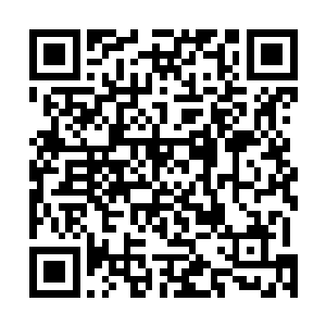 仅仅只是那种可怕的威势就足以令它们心生畏惧不敢动弹二维码生成