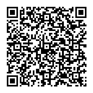 仅仅它们本身的存在之感就让镇压过来的天地玄黄玲珑宝塔冰魄神息枯骨白焰和斩仙金鳞自行迟缓二维码生成