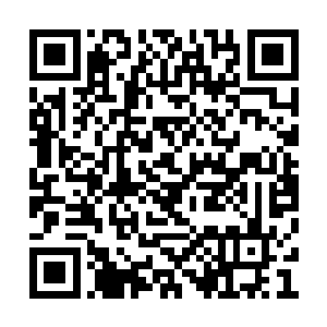 仅仅将这一小股气劲从皮肤之上的毛孔吸附进来二维码生成
